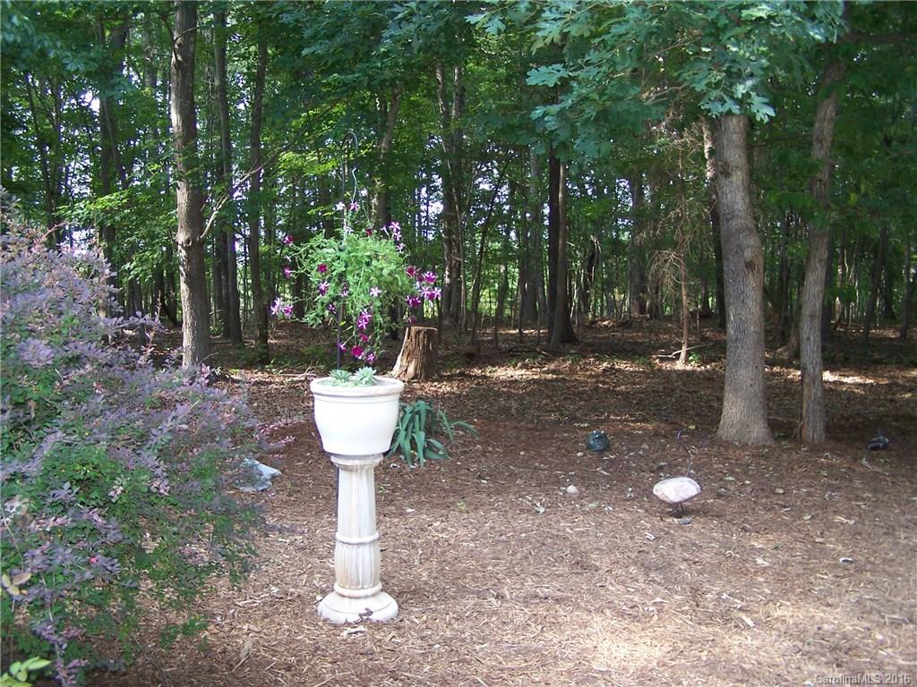 4234 Nesbit Road Waxhaw, NC 28173 - Photo 2 of 20 Gallery Image 2