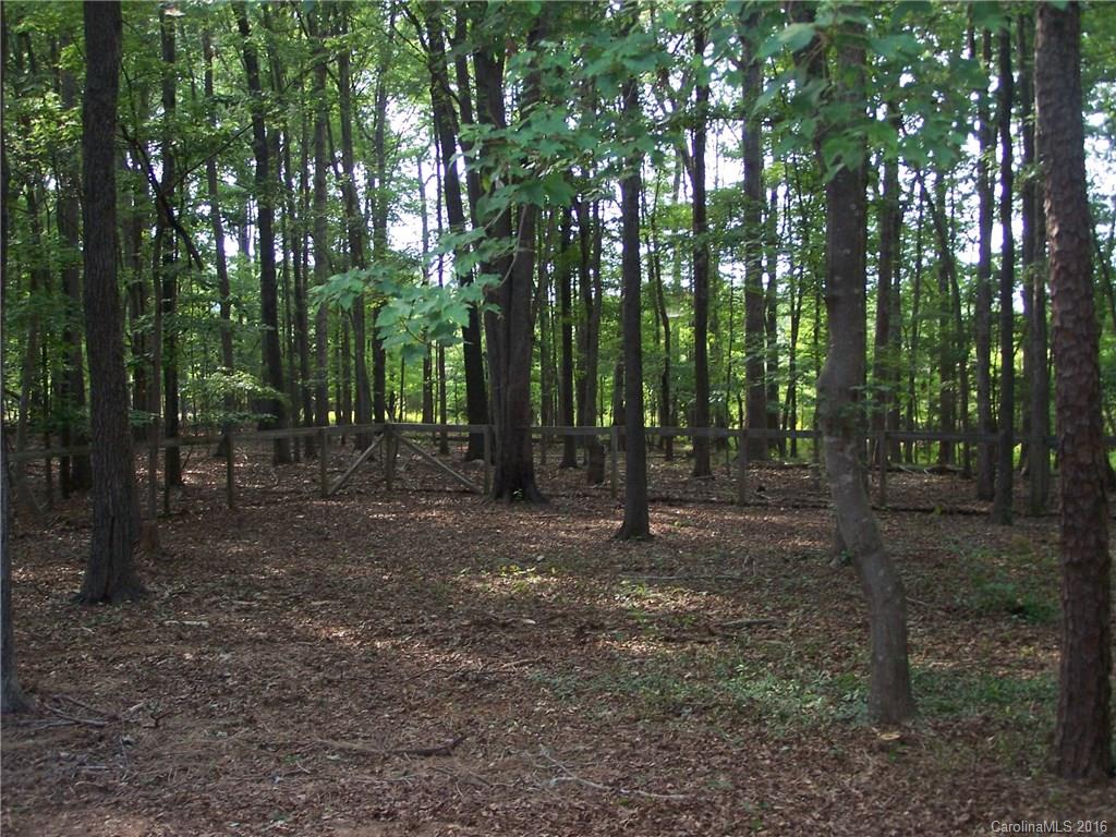 4234 Nesbit Road Waxhaw, NC 28173 - Photo 6 of 20 Gallery Image 6