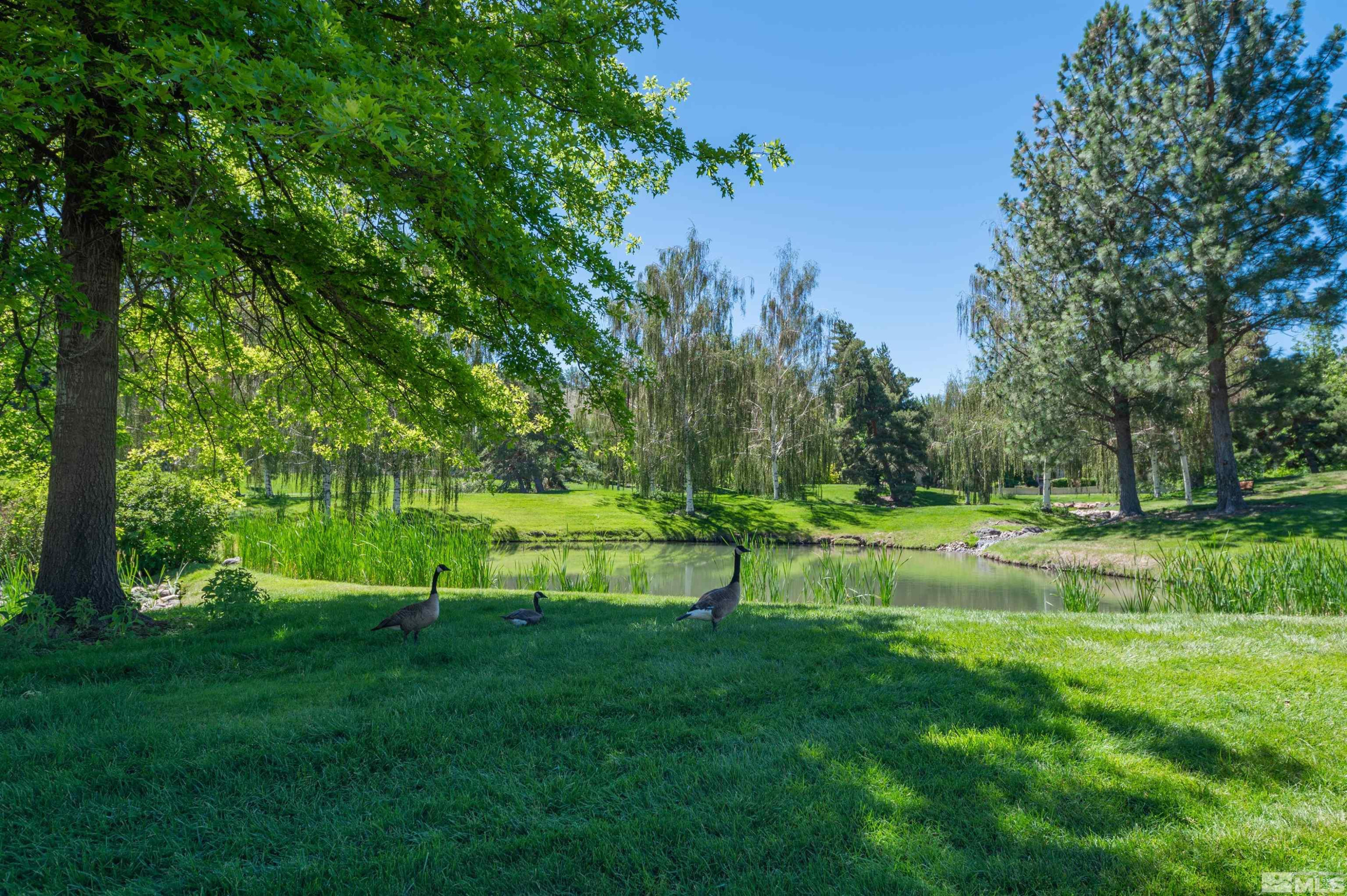 4395 Sharps Road, Unit 714A Reno, NV 89519 - Photo 15 of 15 a view of field with trees in the background