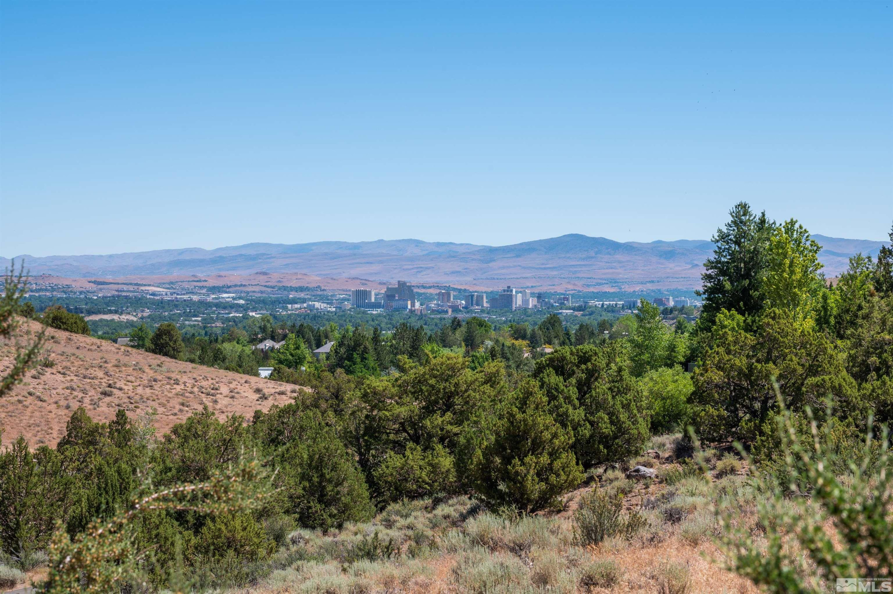4395 Sharps Road, Unit 714A Reno, NV 89519 - Photo 6 of 15 a view of a lush green field with mountains in the background