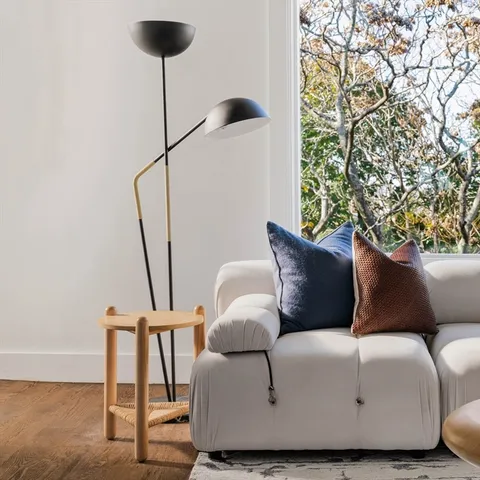 a living room with furniture and a potted plant