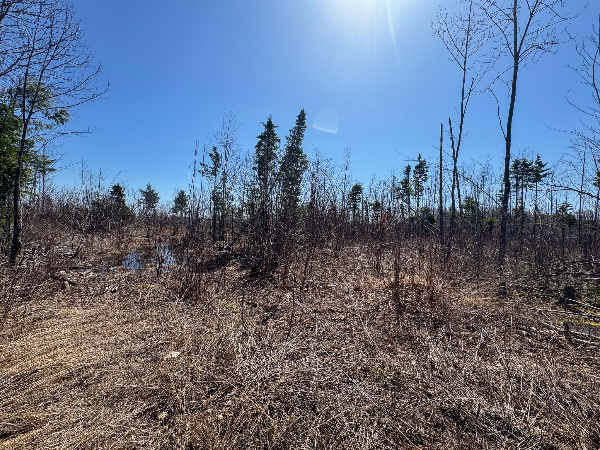 144 Black Water Road Ashland, ME 04732 - Photo 21 of 35 IMG_2659