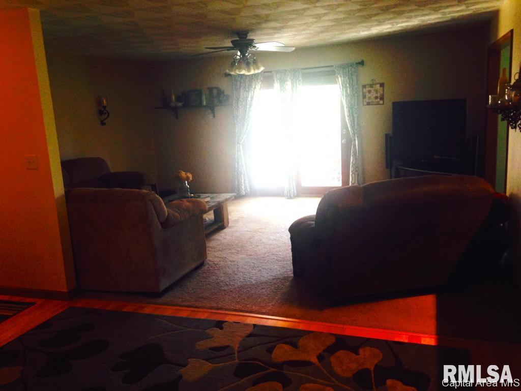 19974 Sunny Acres Road Petersburg, IL 62675 - Photo 11 of 31 Gallery Image 11