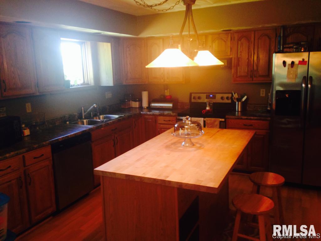 19974 Sunny Acres Road Petersburg, IL 62675 - Photo 19 of 31 Gallery Image 19