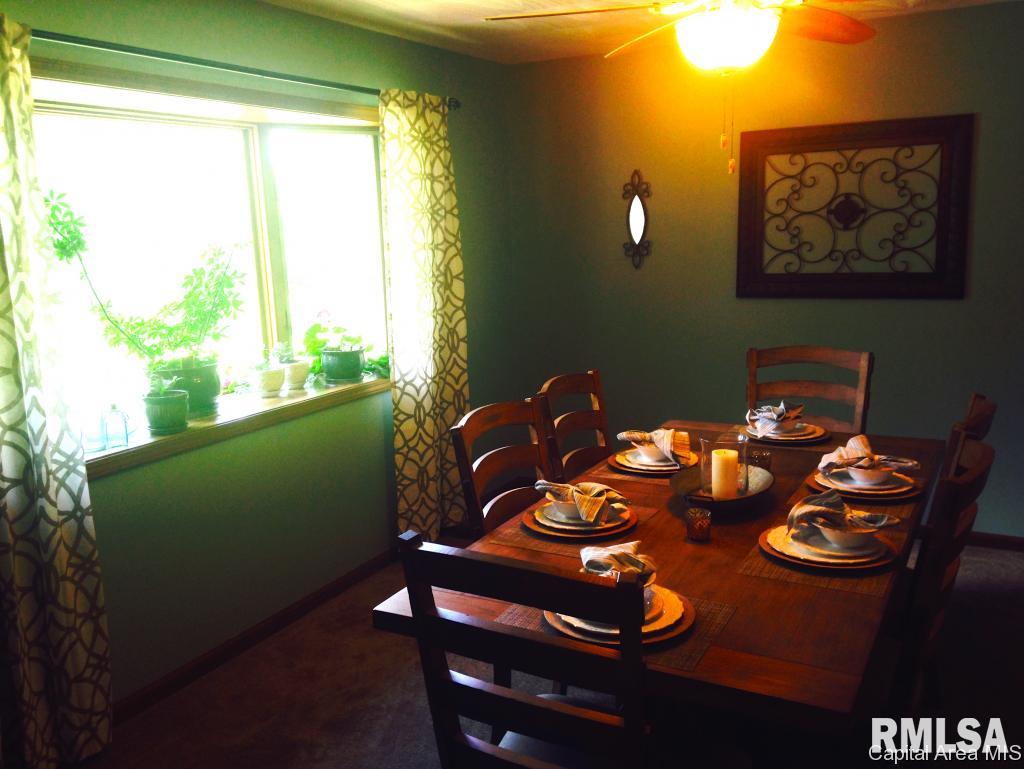 19974 Sunny Acres Road Petersburg, IL 62675 - Photo 21 of 31 Gallery Image 21