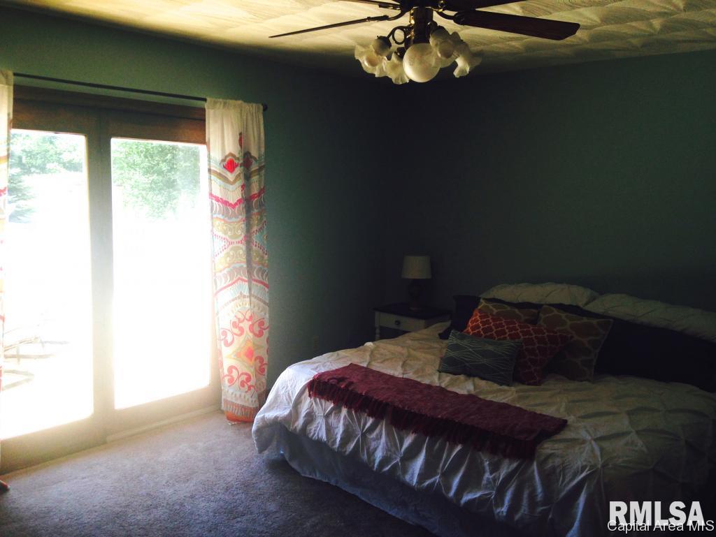 19974 Sunny Acres Road Petersburg, IL 62675 - Photo 23 of 31 Gallery Image 23
