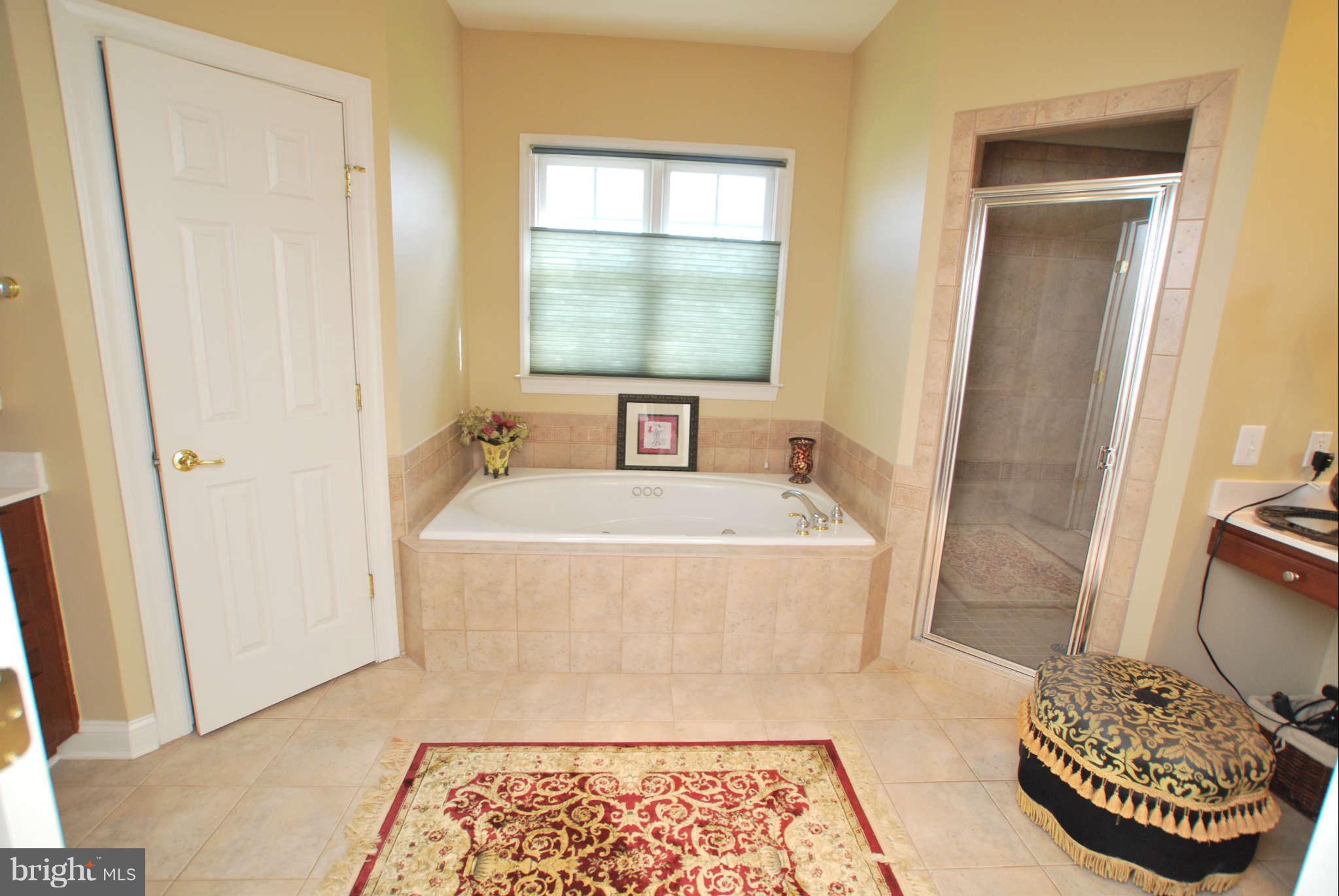 9915 Greenel Road Damascus, MD 20872 - Photo 13 of 30 Bath (Master)