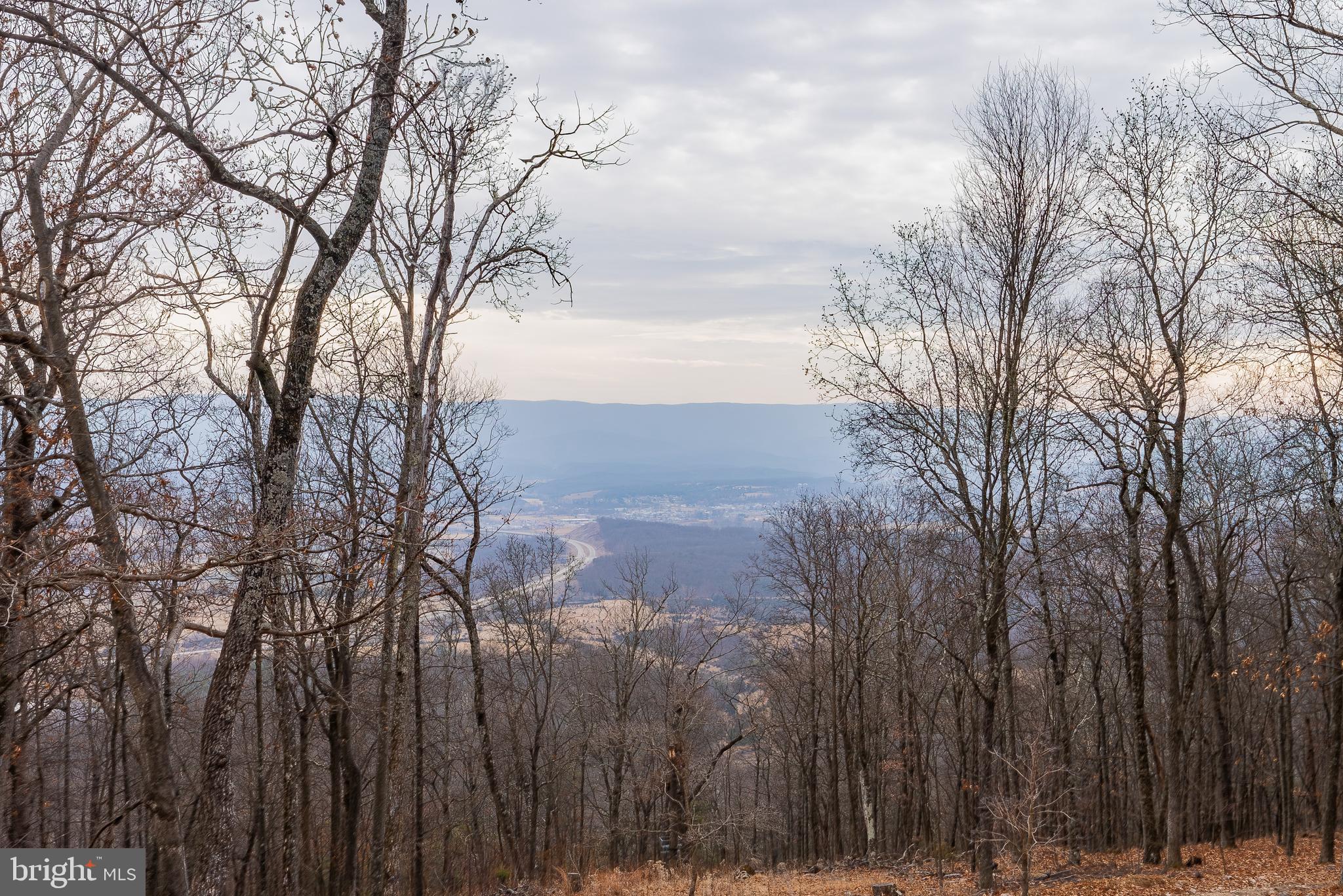 5268 Hutter Road Moorefield, WV 26836 - Photo 60 of 94