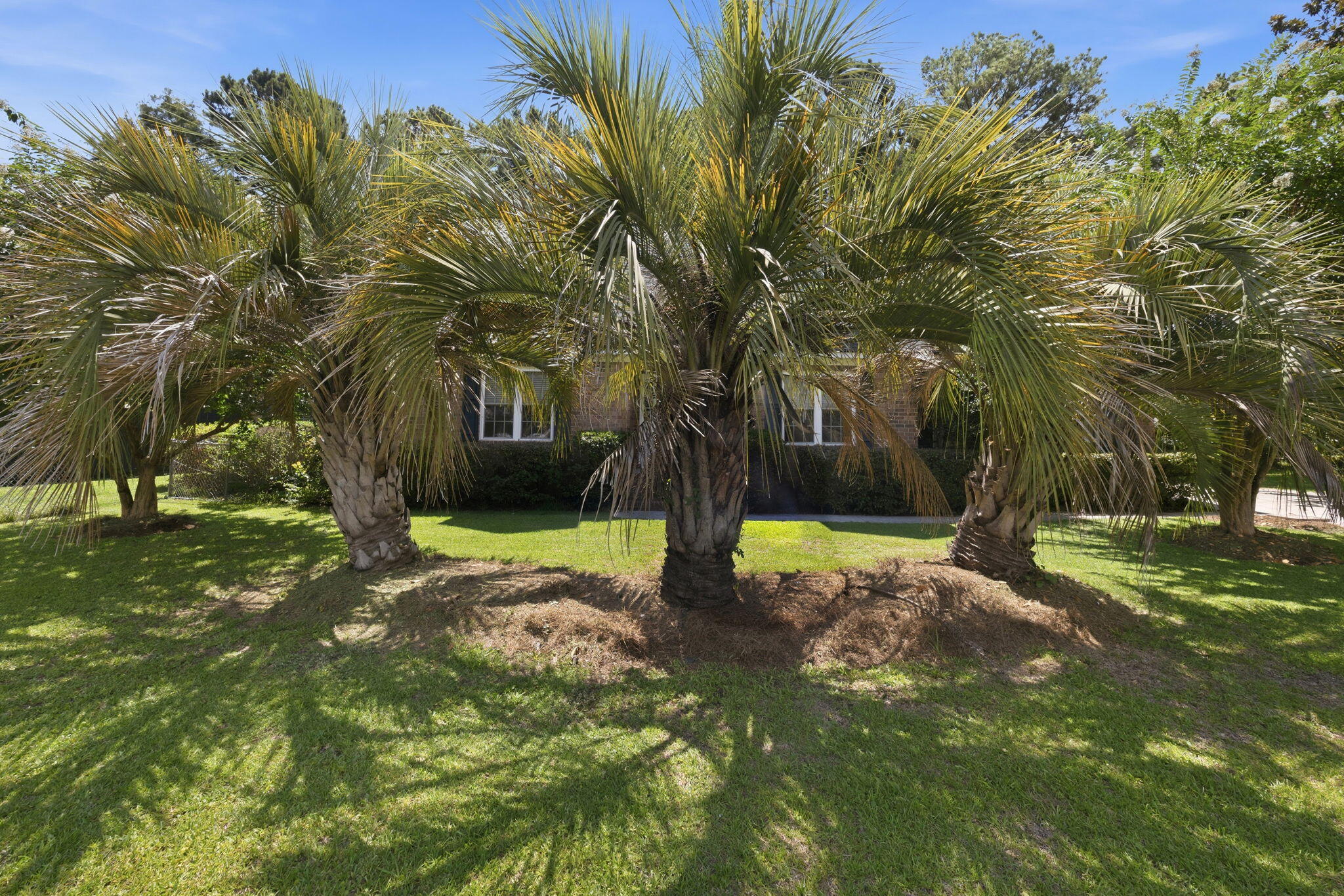 2981 Bennett Charles Road Mount Pleasant, SC 29466 - Photo 56 of 58 39-web-or-mls-470A8442 - edited