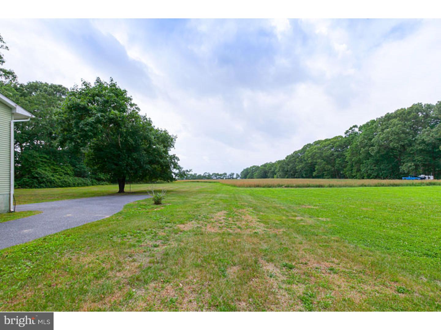 17 Mill Road Elmer, NJ 08318 - Photo 3 of 13 View in Back