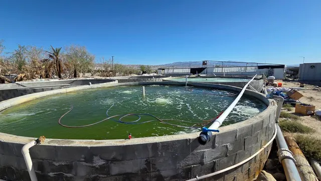 a view of swimming pool from a balcony