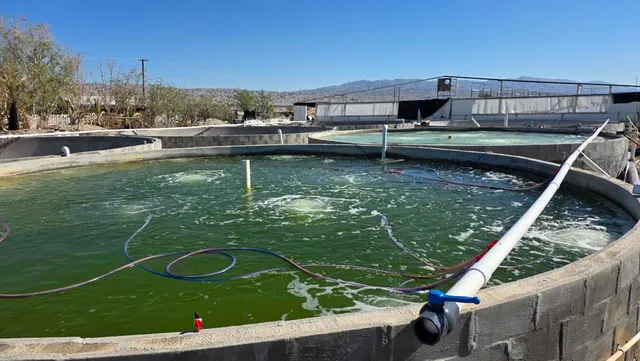 $1,997,250 | 96400 70th Avenue, Mecca, CA 92254