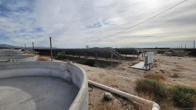 a view of roof and window