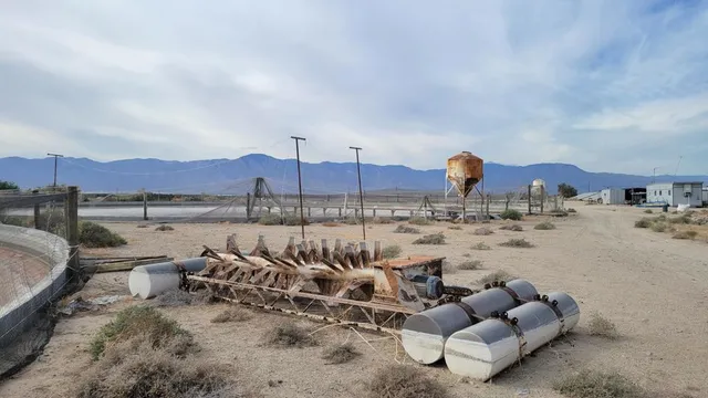 a view of a terrace with a couch
