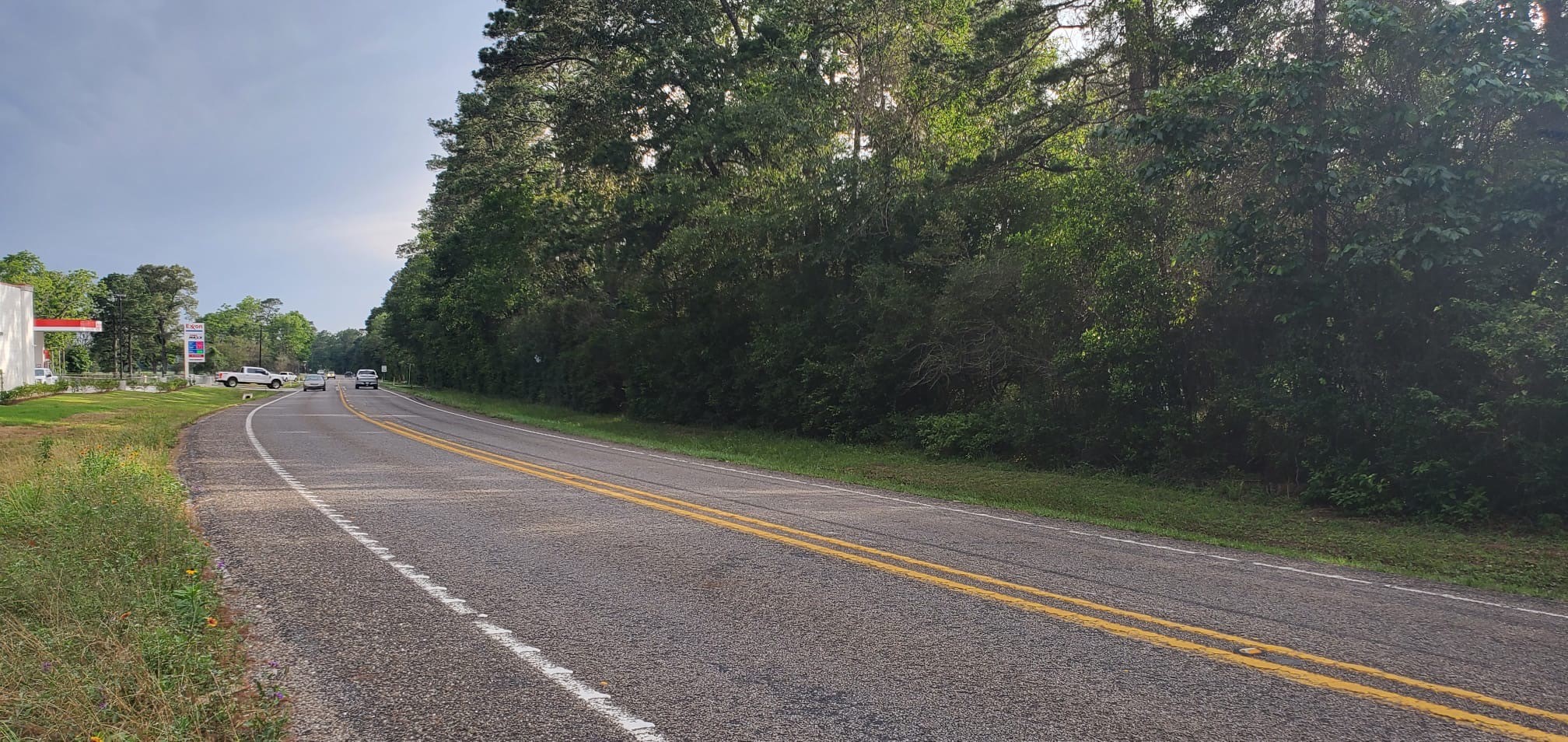 16868 FM 1484 Road Conroe, TX 77303 - Photo 2 of 8 a view of a yard