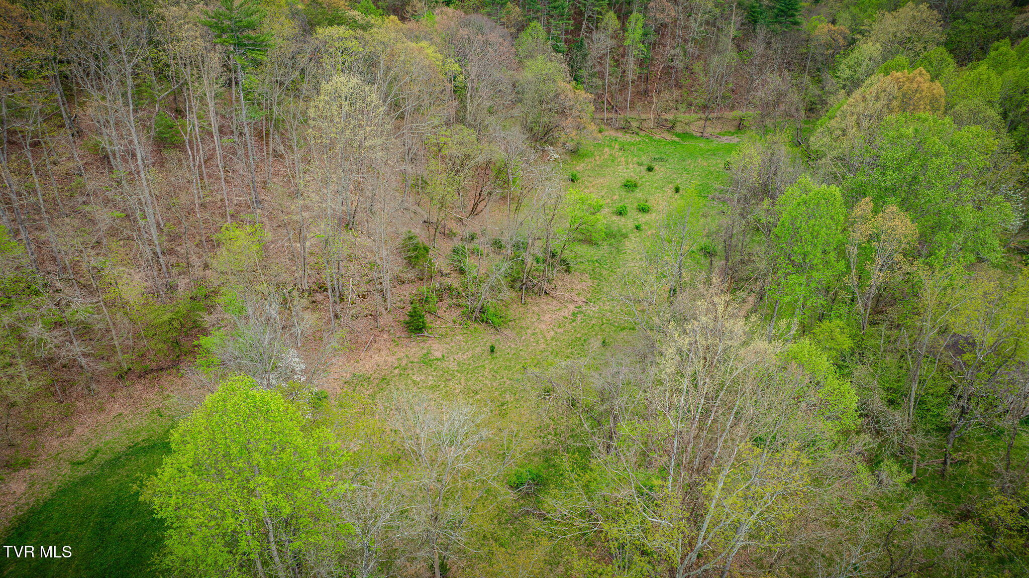 1620 Chinquapin Grove Road Bluff City, TN 37618 - Photo 25 of 27 120