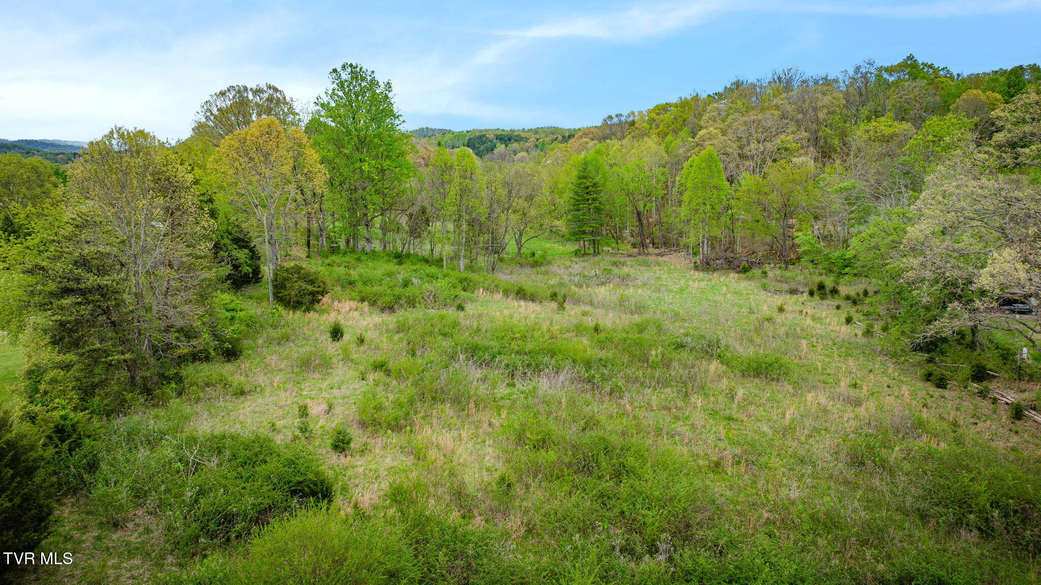 1620 Chinquapin Grove Road Bluff City, TN 37618 - Photo 26 of 27 121