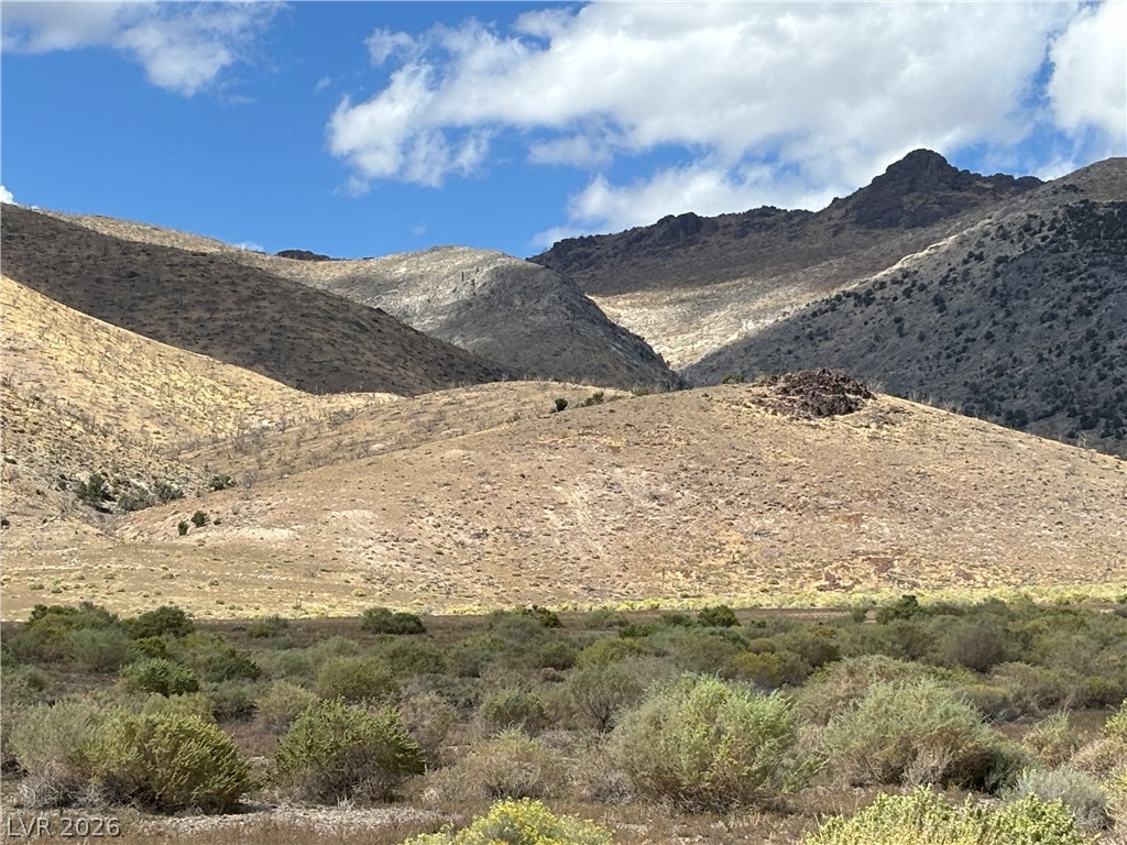 31 (n Spring Valley Ely, NV 89301 - Photo 2 of 10 Dramatic mountain ridges rise above the desert brush under a bright blue sky.
