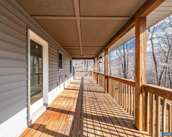 a view of a tree with a yard