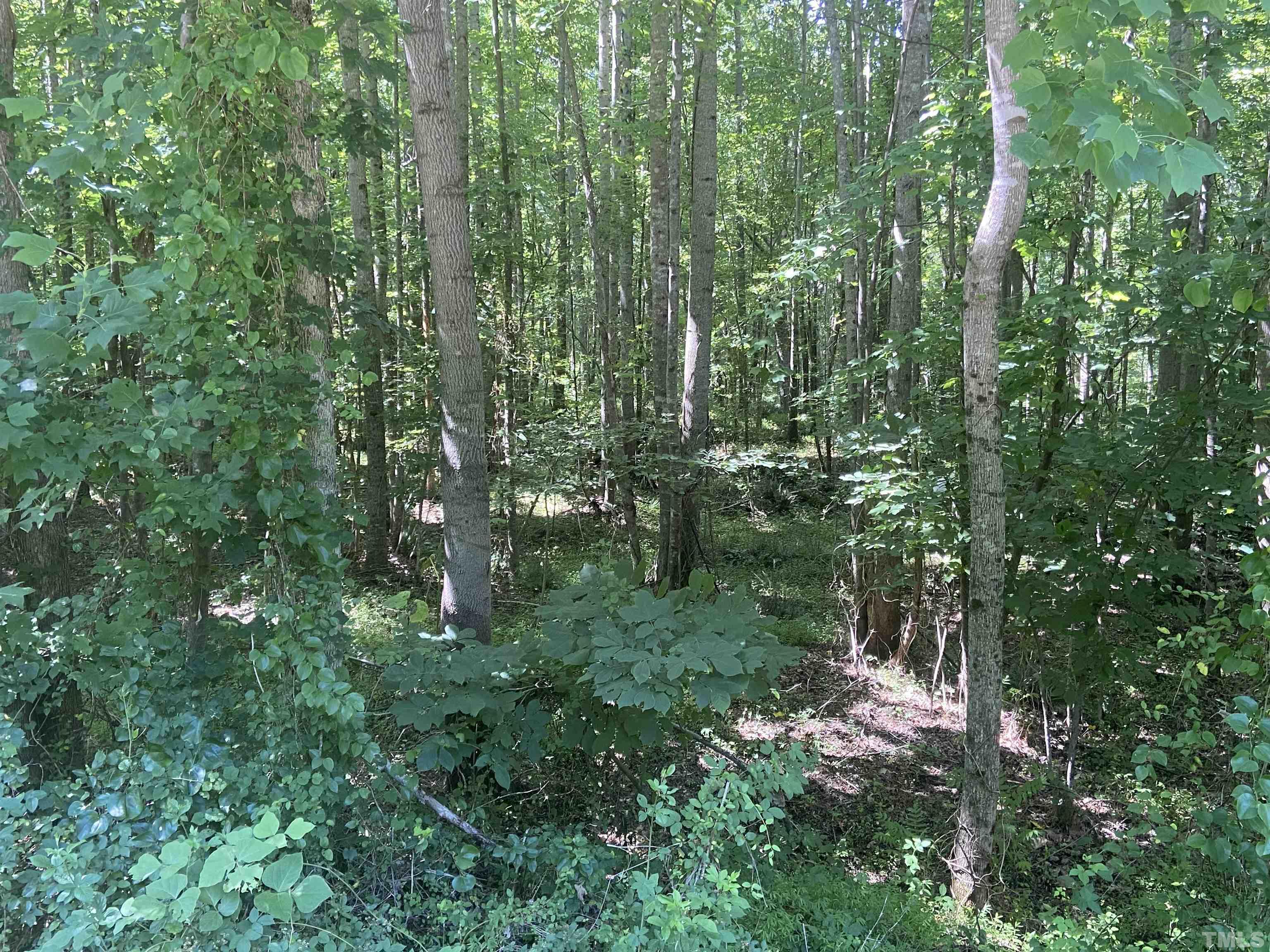 Lot 4 Sims Bridge Road Kittrell, NC 27544 - Photo 5 of 8 Gallery Image 5