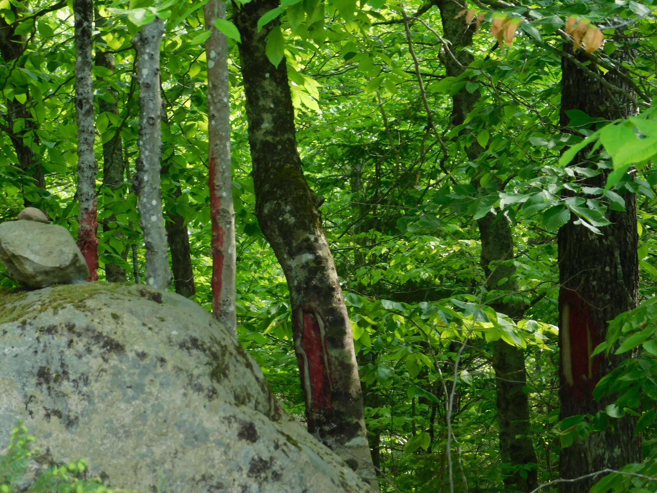 121 Parkman Hill Road Solon, ME 04979 - Photo 14 of 15