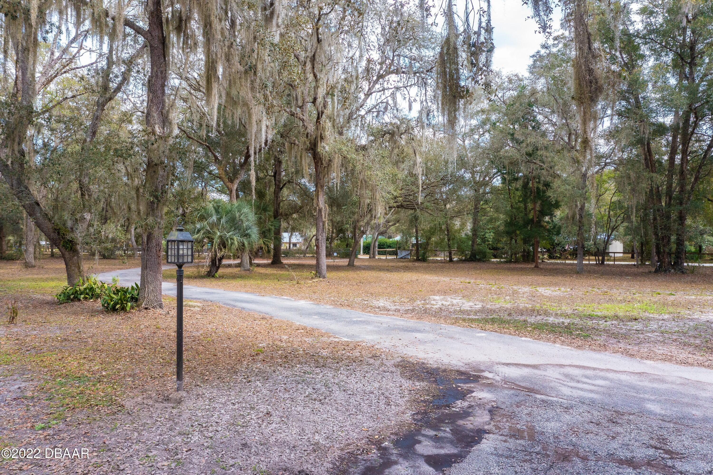 4474 Daugharty Road DeLand, FL 32724 - Photo 5 of 40 005_Driveway
