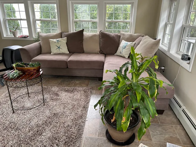 a living room filled with furniture and a potted plant