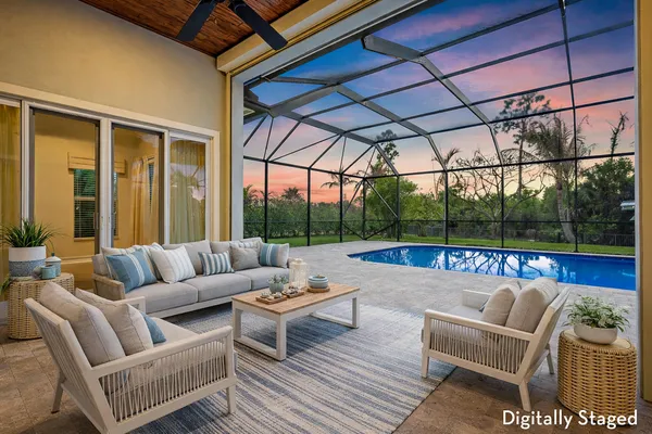 a view of a garden with a palm tree