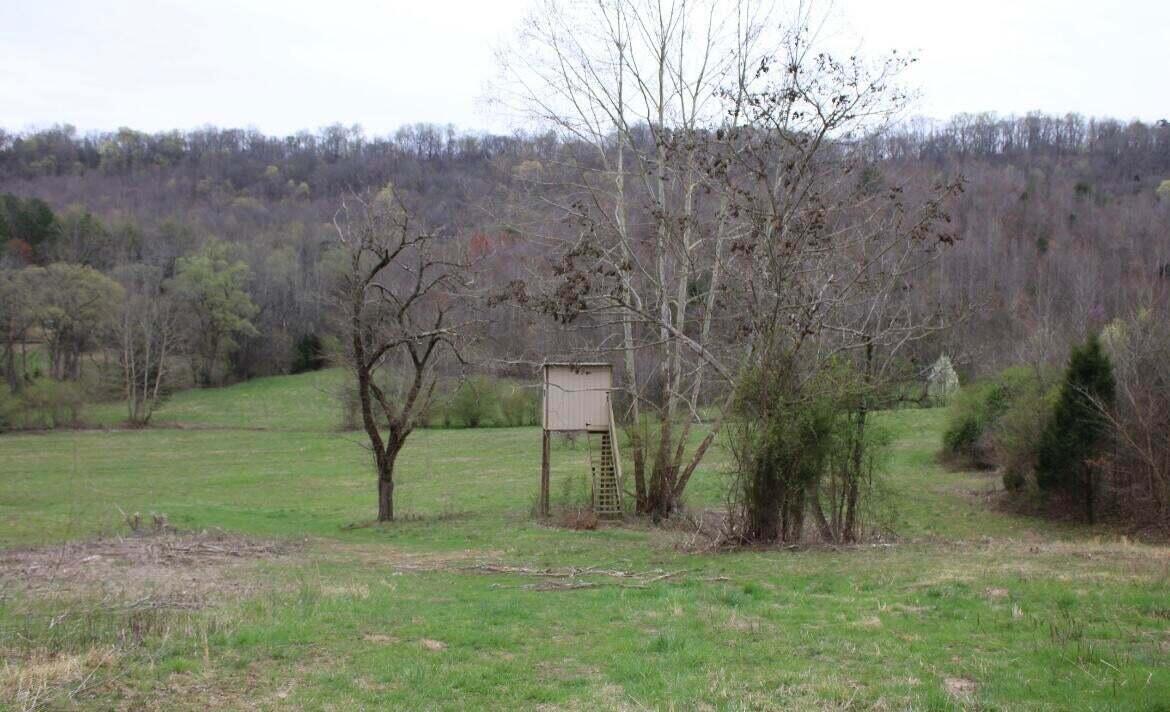 20231116184135366243000000-o