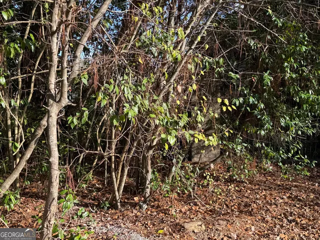 $150,000 | 1513 Pickard Avenue, Tifton, GA 31794