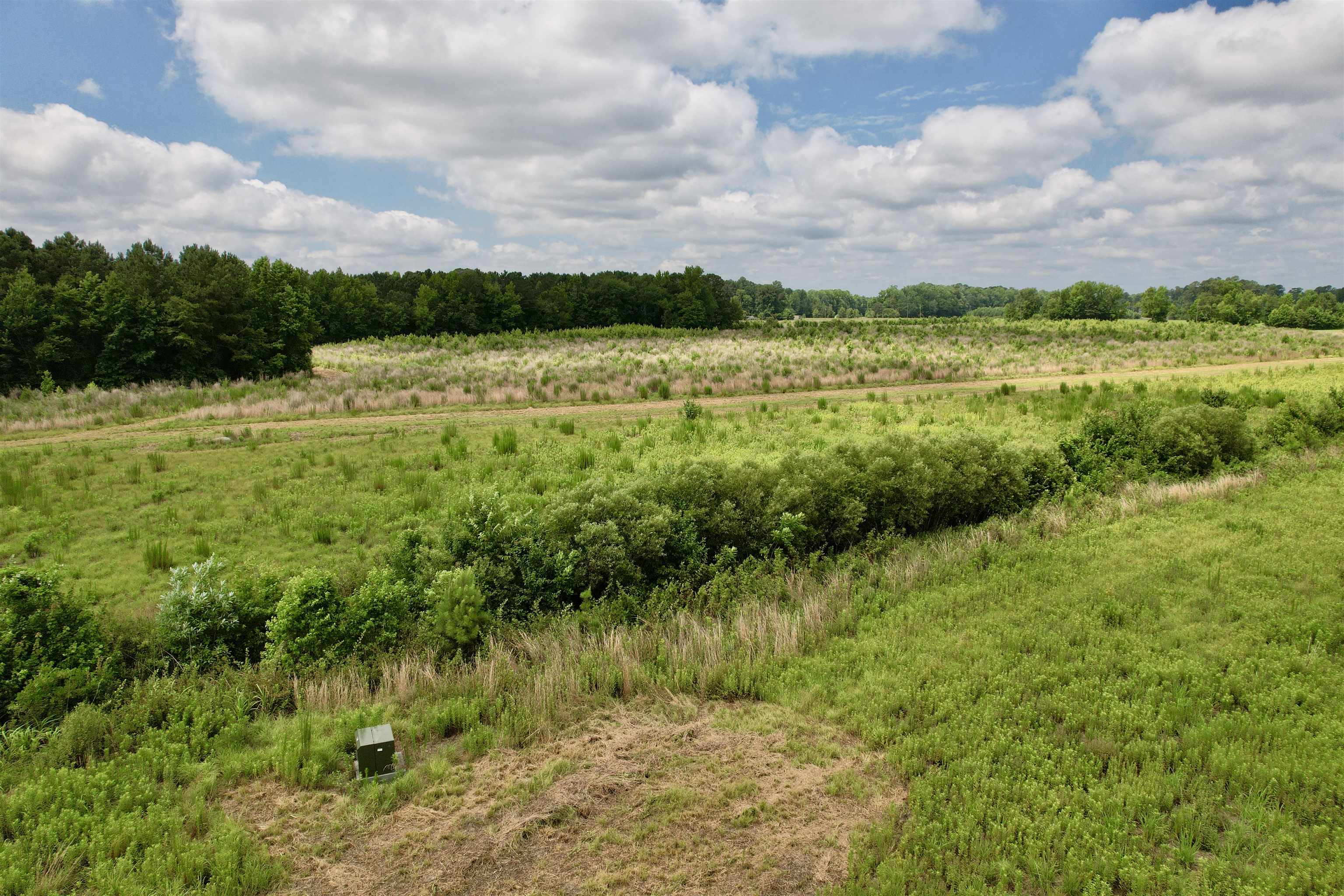 0 Powell Rd Green Green Sea, SC 29545 - Photo 68 of 72