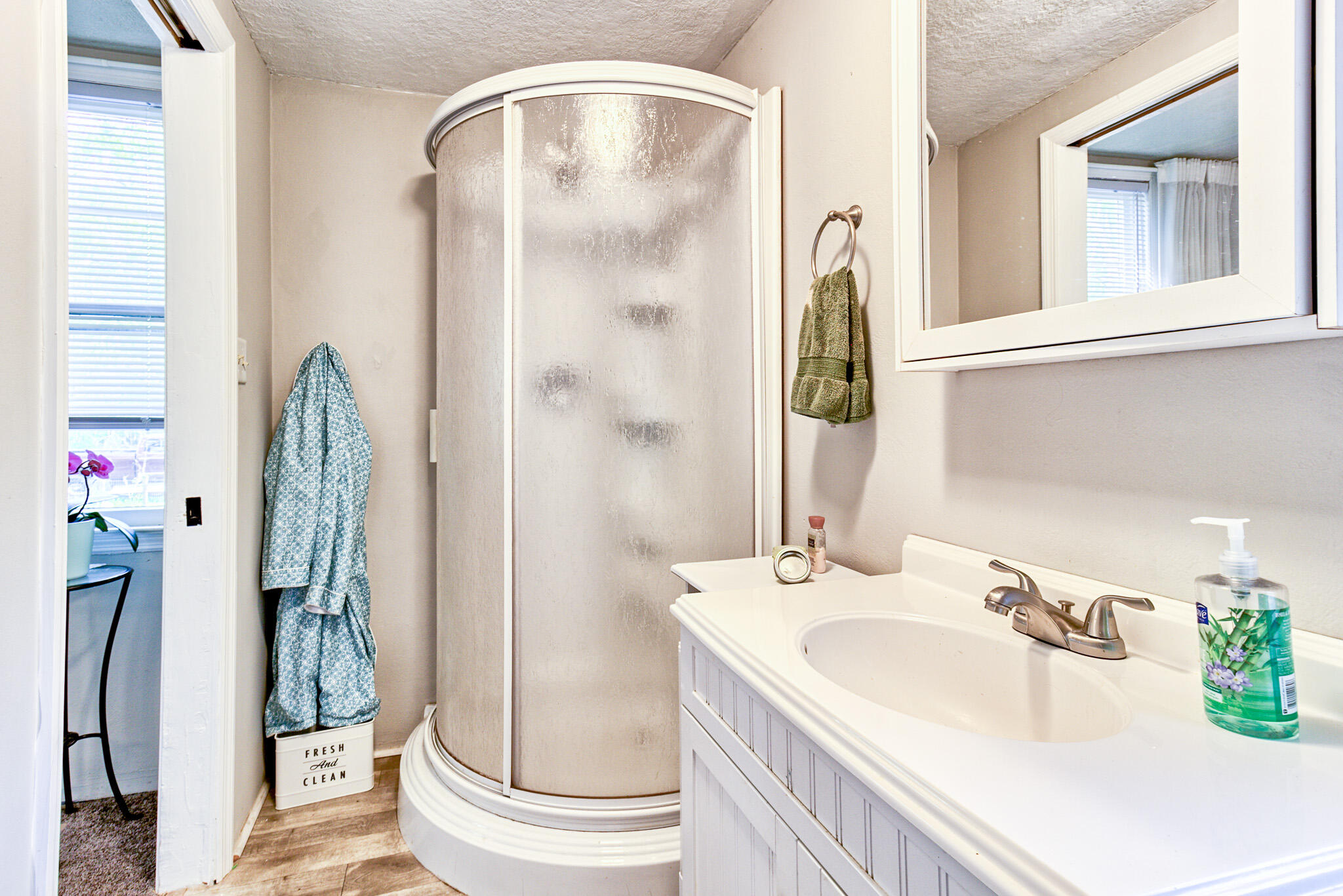 350 Shoofly Road Ridgeville, SC 29472 - Photo 16 of 21 Bathroom