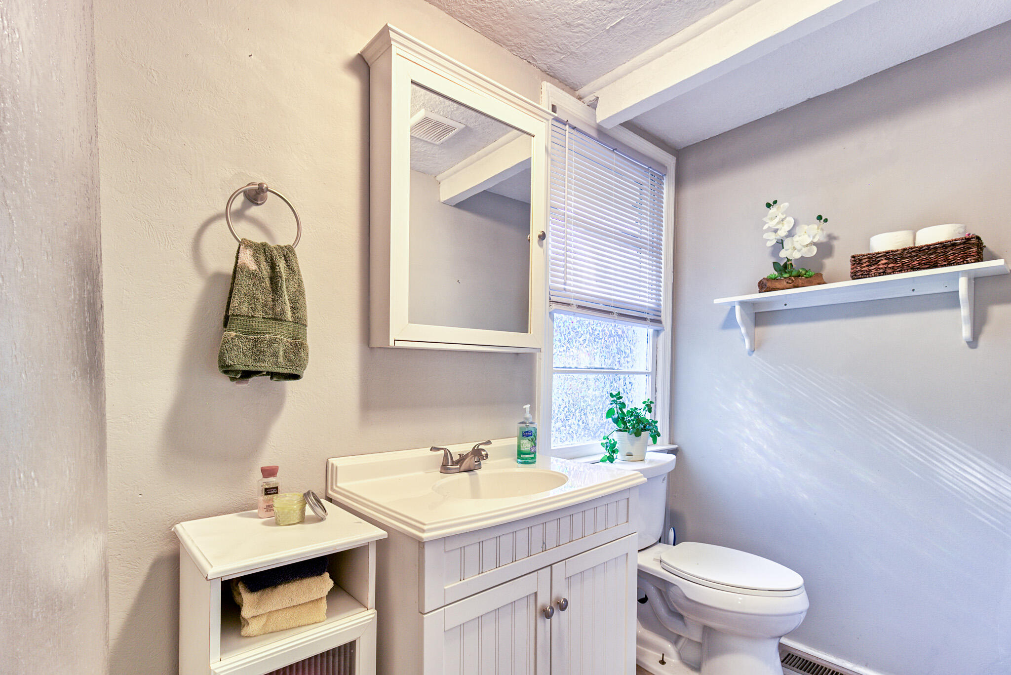 350 Shoofly Road Ridgeville, SC 29472 - Photo 17 of 21 Bathroom