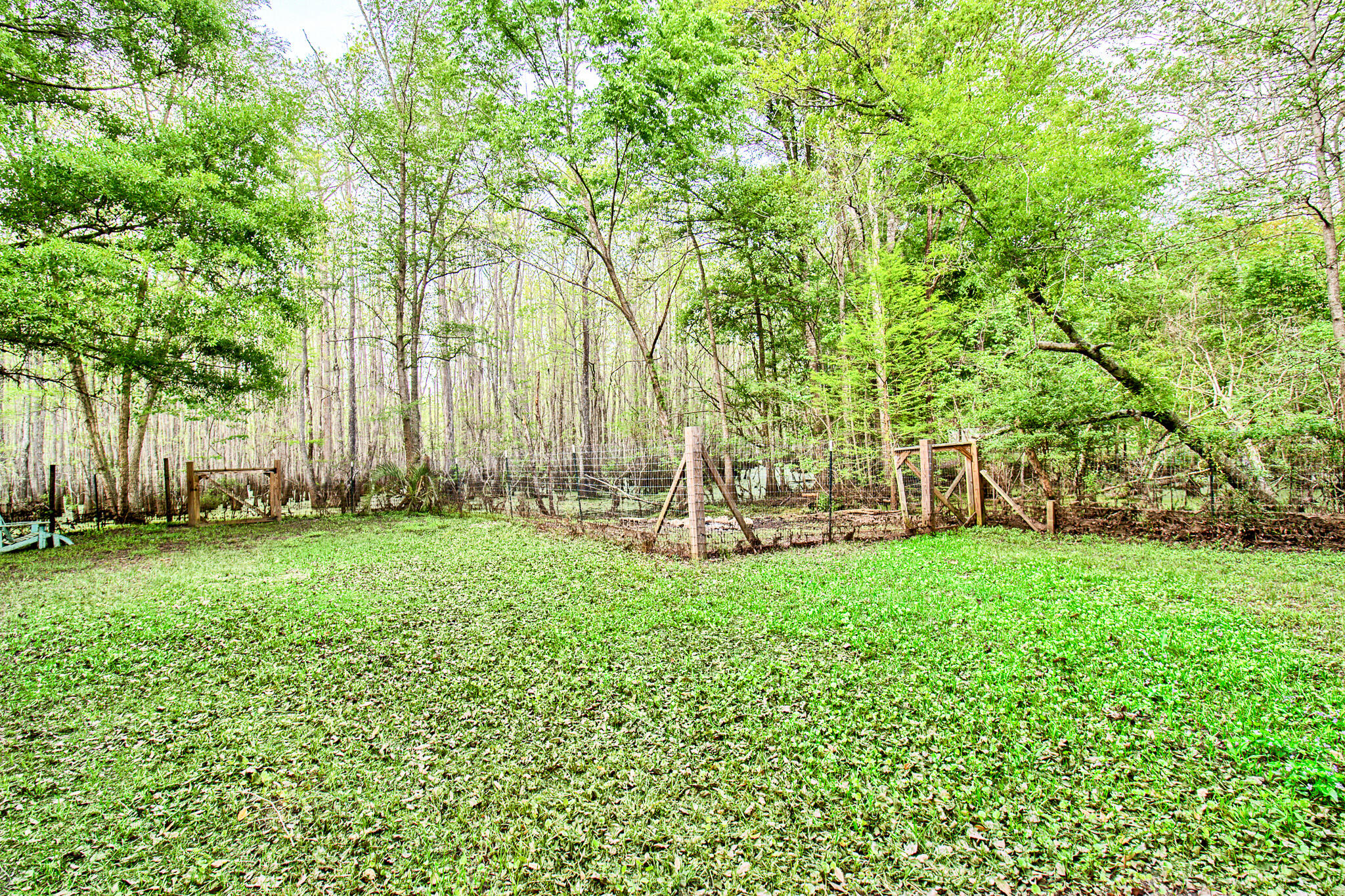 350 Shoofly Road Ridgeville, SC 29472 - Photo 18 of 21 Backyard
