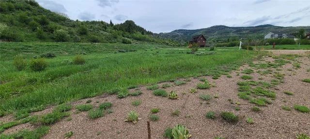 a view of a lush green field