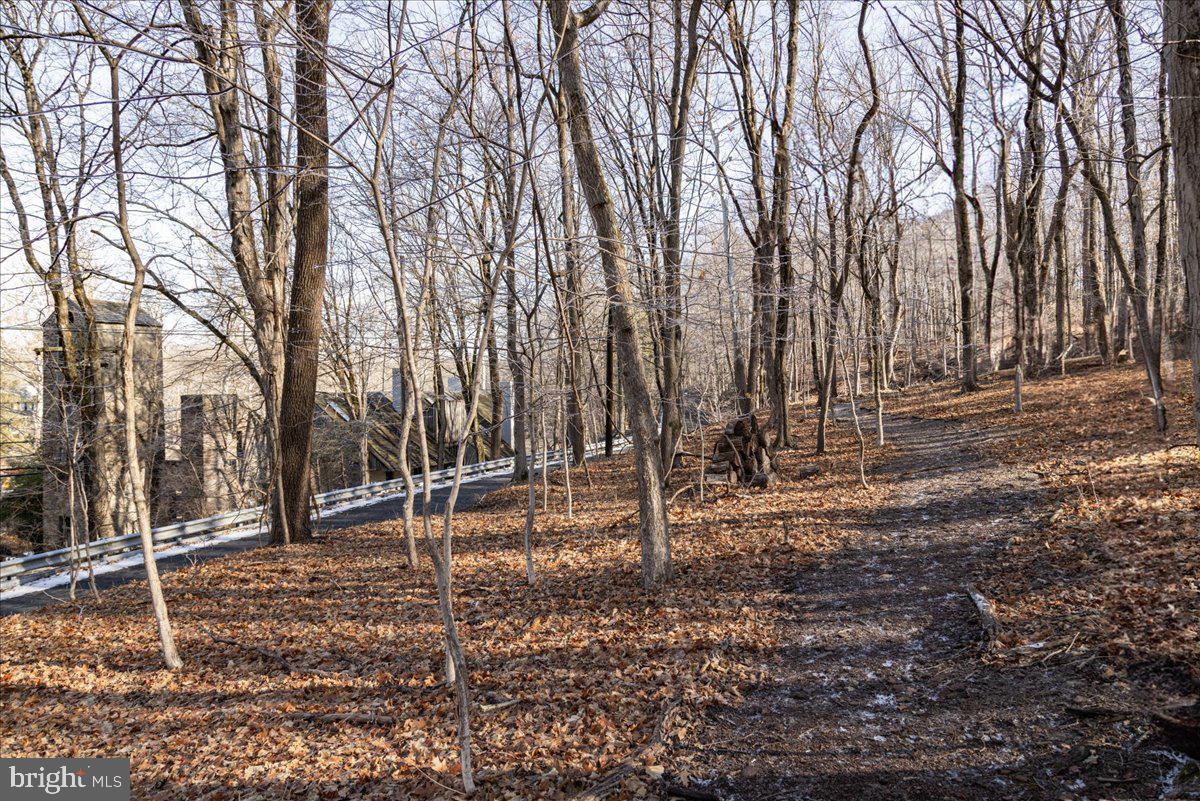 216 South Sugan Road New Hope, PA 18938 - Photo 64 of 66 Trail leading to town past the "The Ruins"