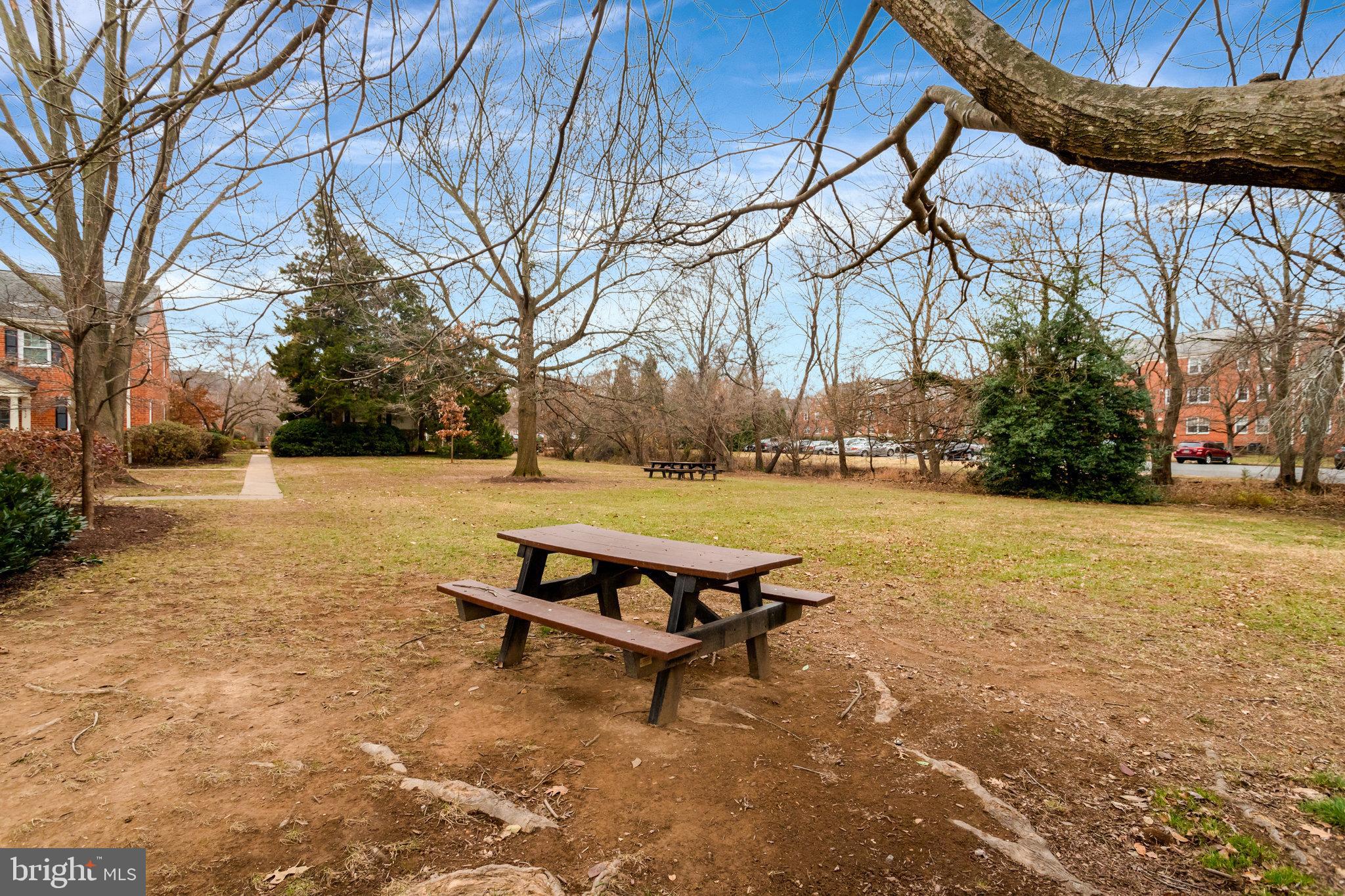 6514 10th Street Alexandria, VA 22307 - Photo 30 of 31 Picnic table to relax to the right of townhouses