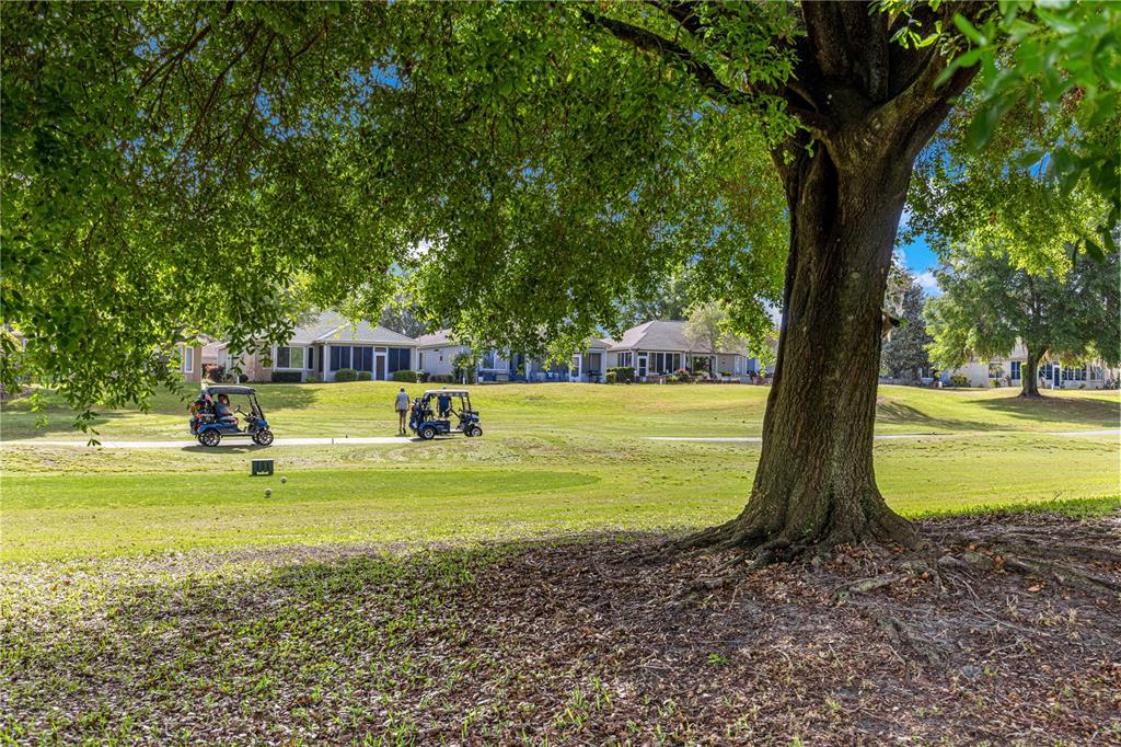 13131 Southeast 91st Court Road Summerfield, FL 34491 - Photo 2 of 70