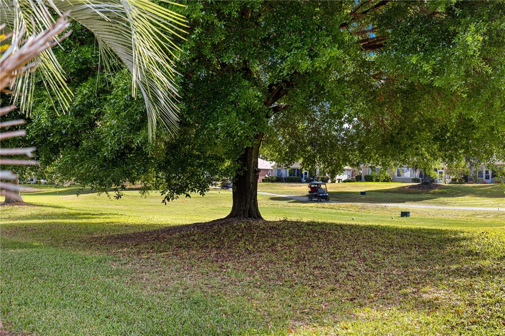 13131 Southeast 91st Court Road Summerfield, FL 34491 - Photo 35 of 70