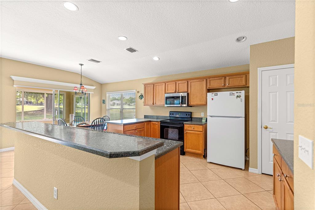 13131 Southeast 91st Court Road Summerfield, FL 34491 - Photo 7 of 70