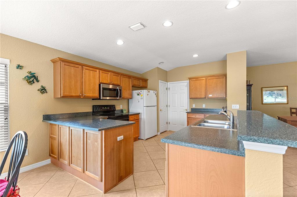 13131 Southeast 91st Court Road Summerfield, FL 34491 - Photo 8 of 70