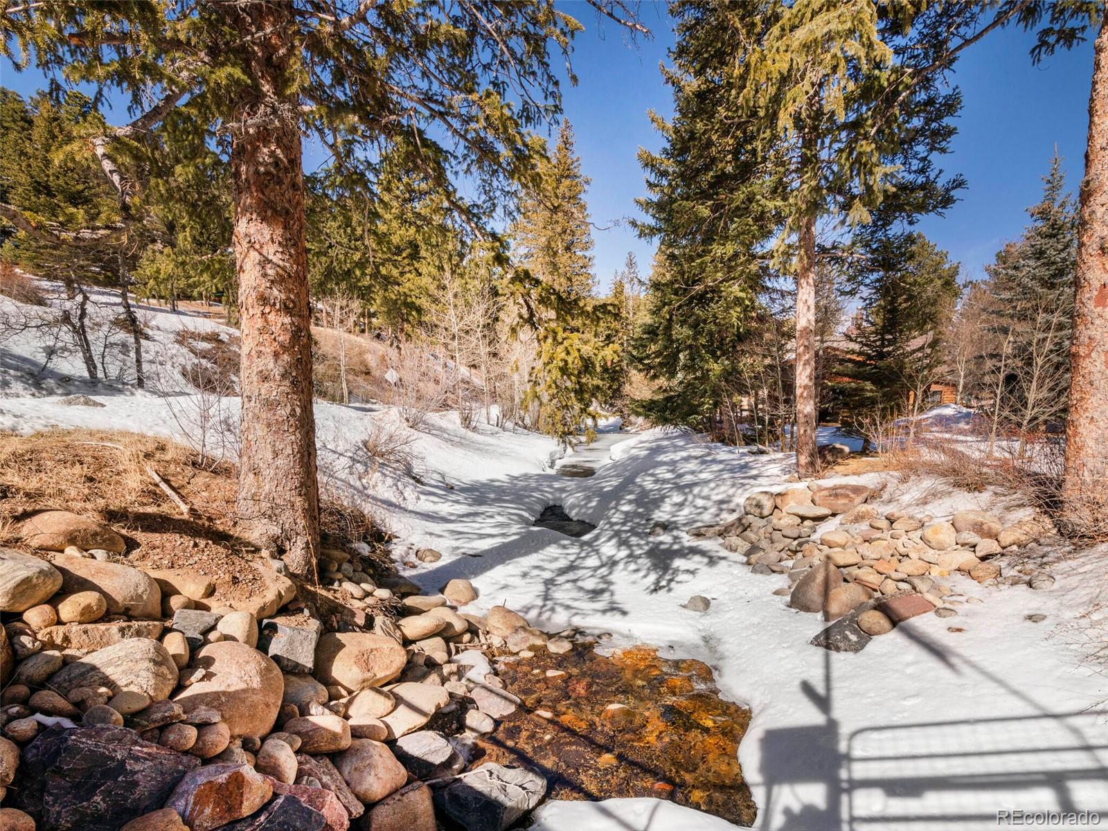 3135 Riverside Drive Lyons, CO 80540 - Photo 29 of 37 a view of a tree with snow