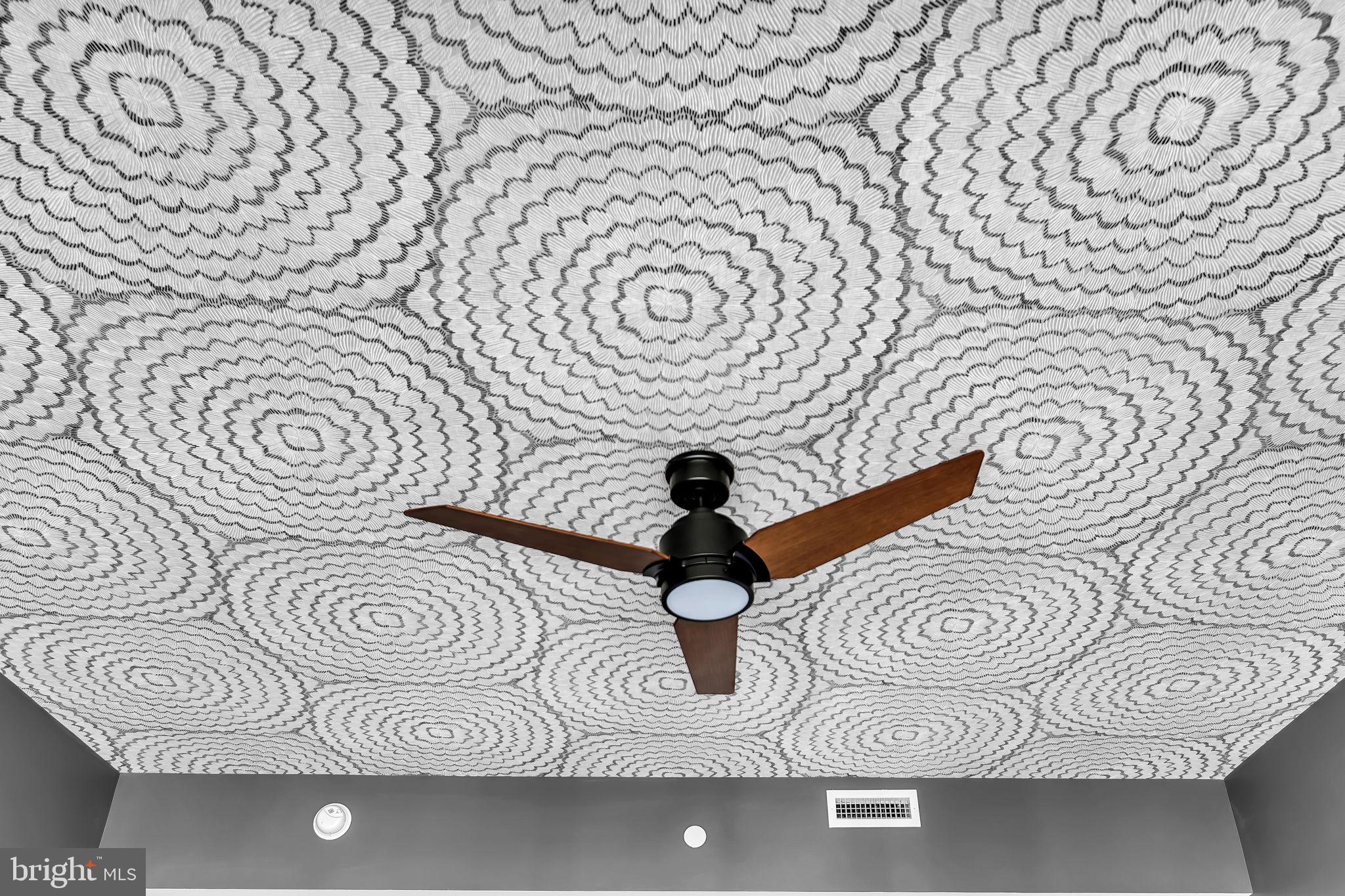 1300 4th Street Southeast, Unit PH2 Washington, DC 20003 - Photo 38 of 60 Custom ceiling feels like staring at a mural
