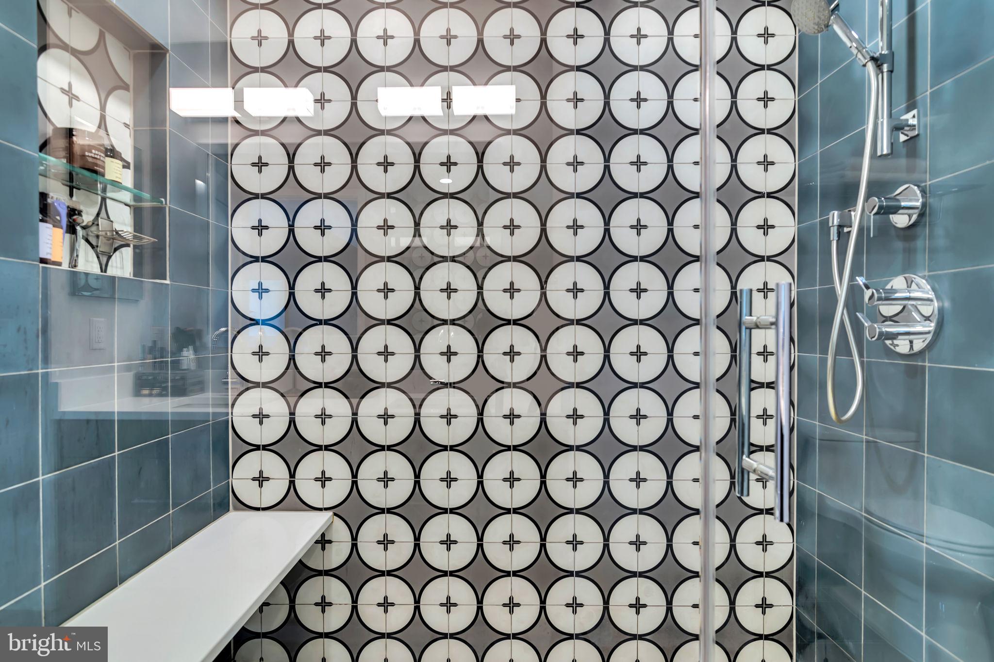 1300 4th Street Southeast, Unit PH2 Washington, DC 20003 - Photo 45 of 60 Stand or sit in your shower.