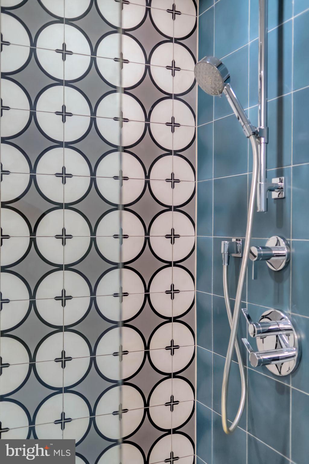 1300 4th Street Southeast, Unit PH2 Washington, DC 20003 - Photo 46 of 60 Experience the flow of water from custom
shower.