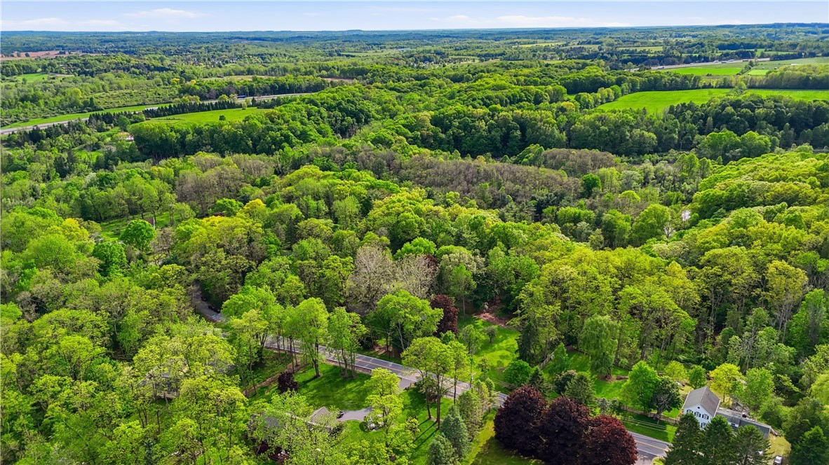 364 Fisher Road Victor, NY 14534 - Photo 47 of 48