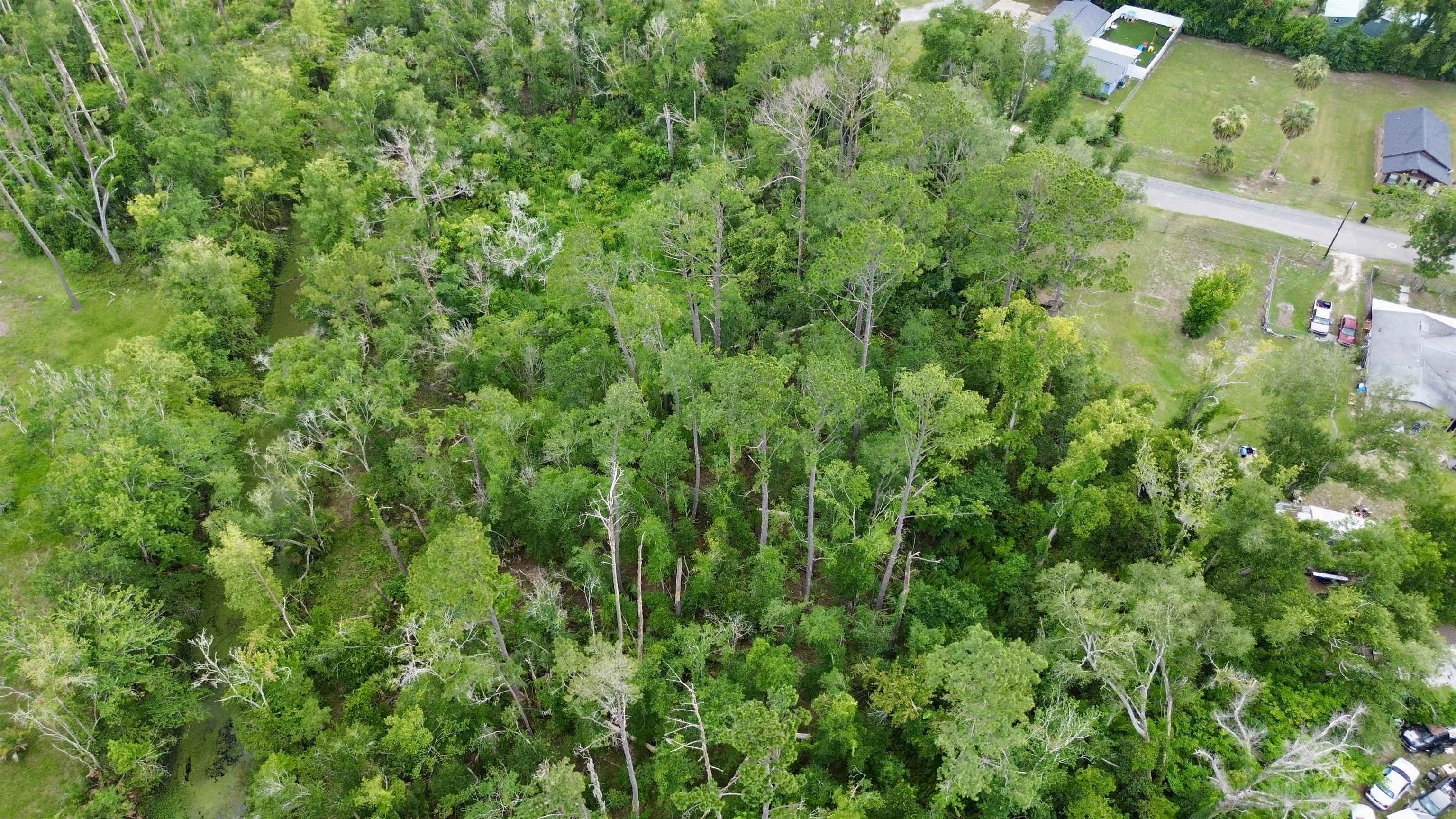 0 North Calhoun Street Perry, FL 32347 - Photo 6 of 10