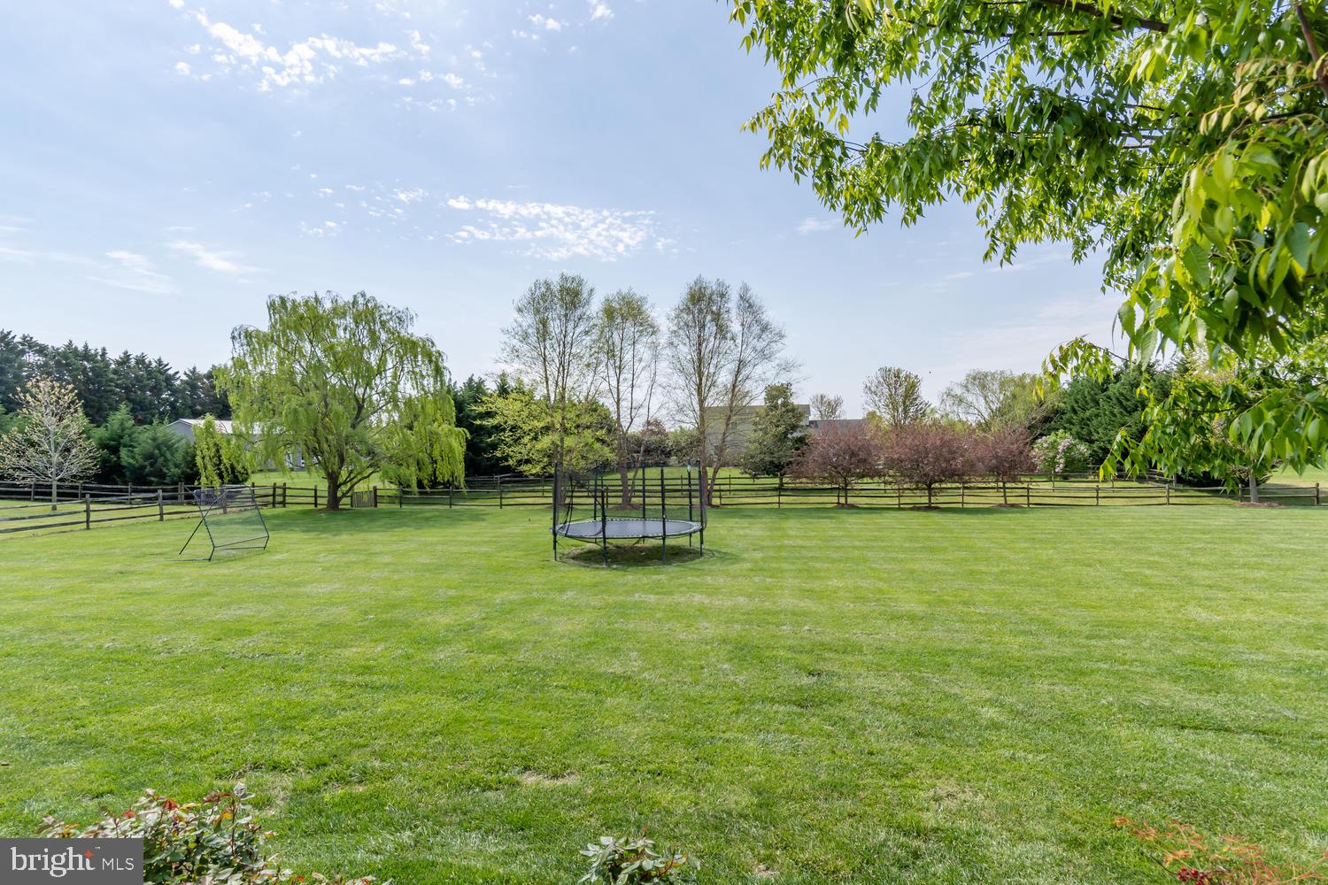117 Sheaffer Road Chestertown, MD 21620 - Photo 41 of 44 BACK YARD