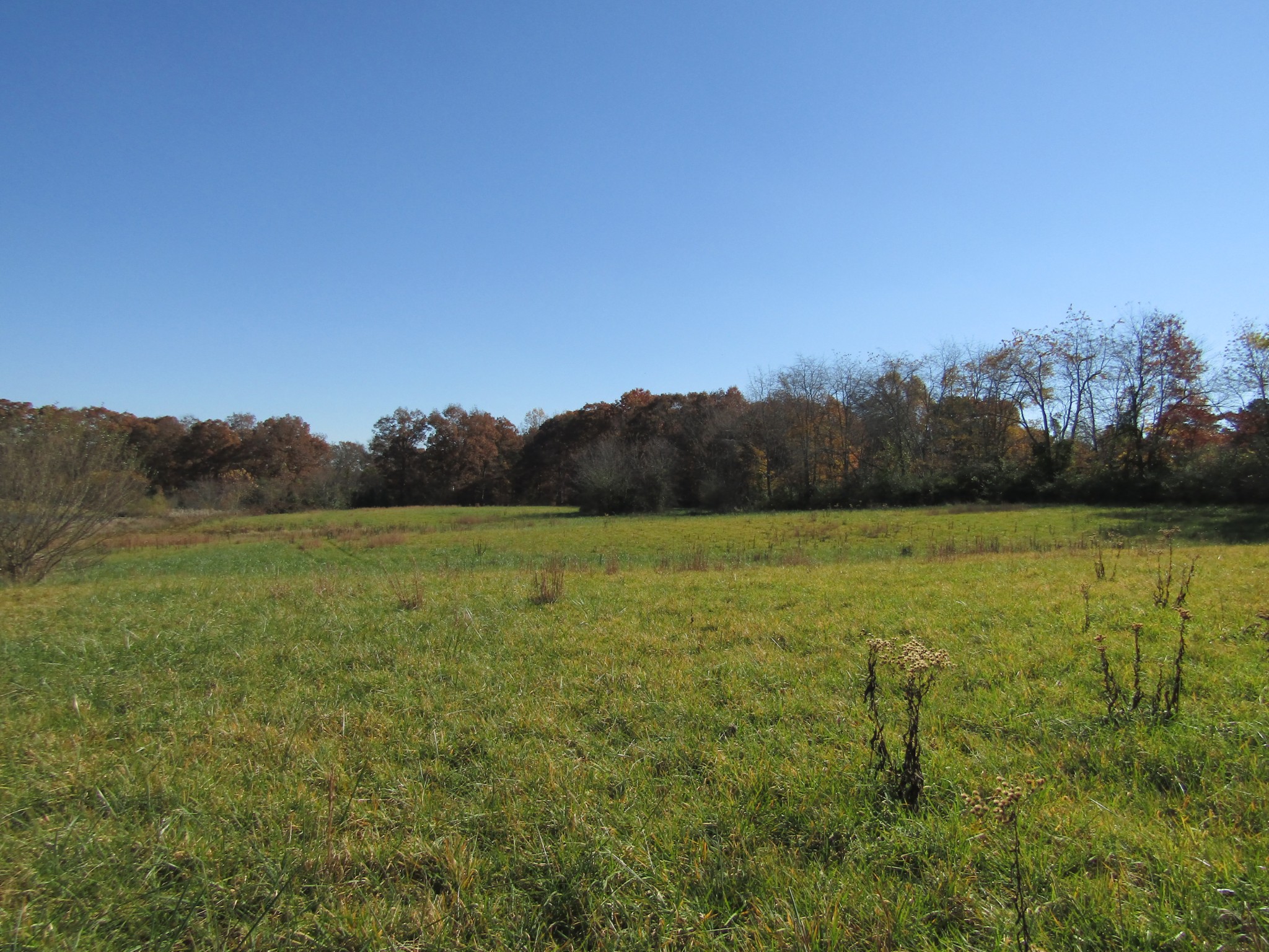 0 Hack Beaty Road Grimsley, TN 38565 - Photo 12 of 31 Gallery Image 12