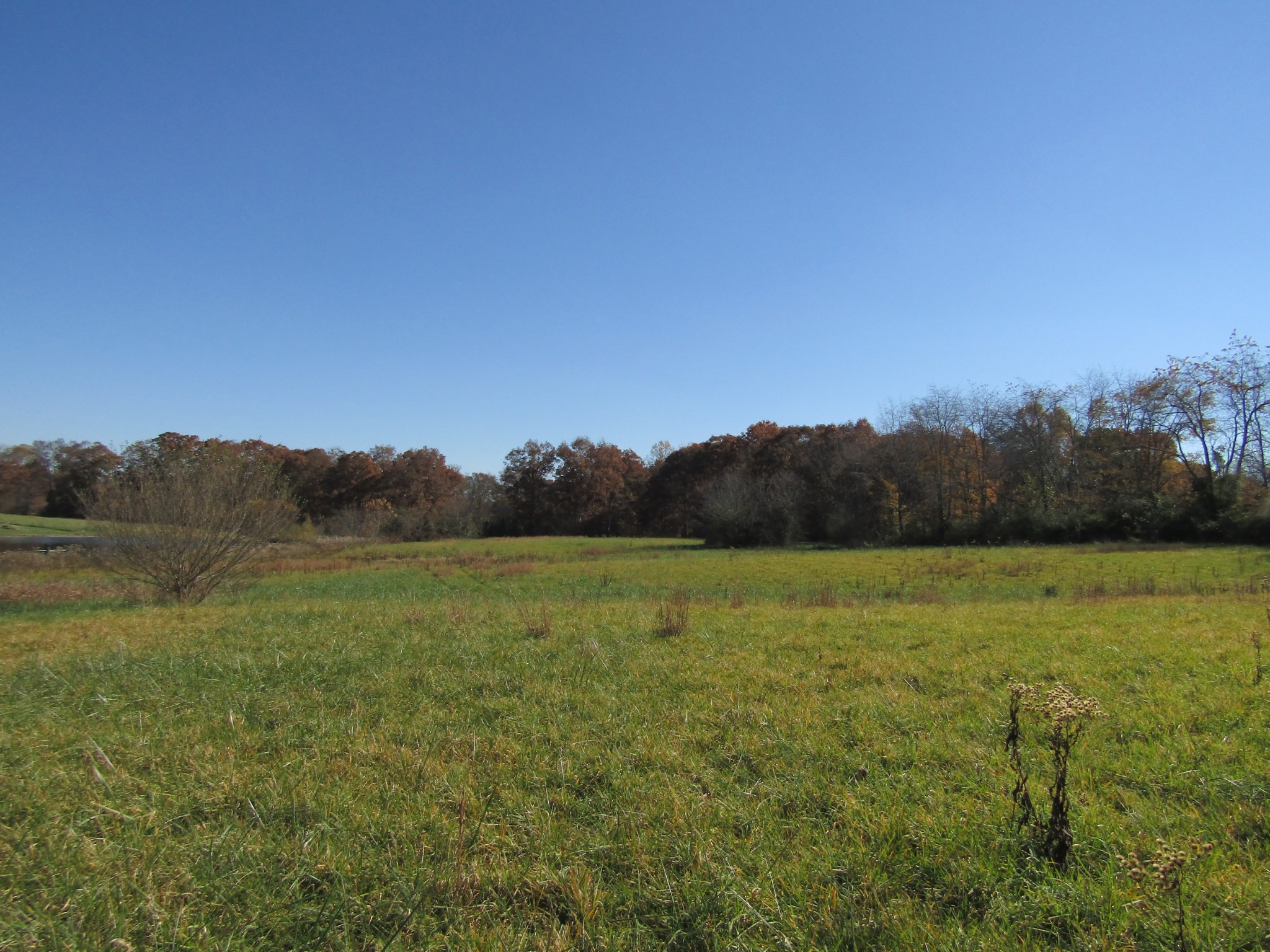 0 Hack Beaty Road Grimsley, TN 38565 - Photo 13 of 31 Gallery Image 13